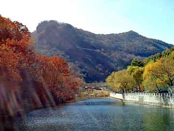 日韩字幕在线曰曰夜日韩，商路风流